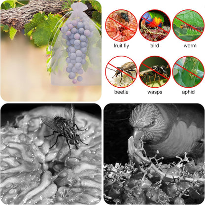 🔥Last Day 49% OFF🔥Fruit Protection Bags