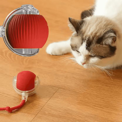 ODALIT™  Self-Moving Cat Toy Ball – 360° Auto-Rolling, Smart Interactive Pet Ball for Indoor Cats & Small Dogs – Fast & Engaging Play