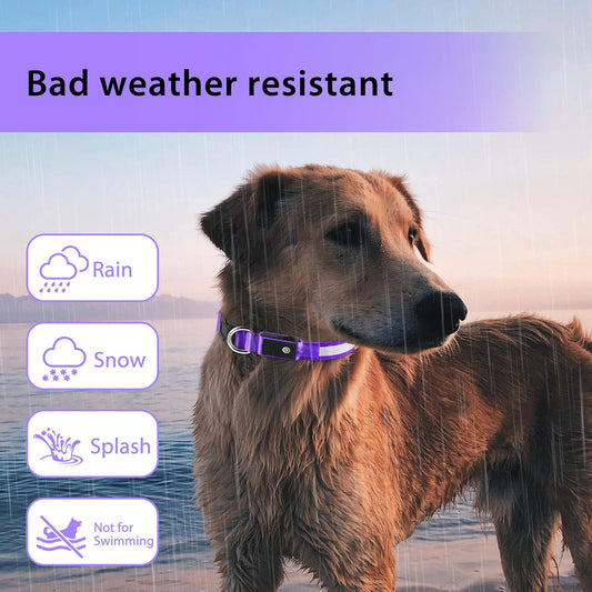 ODALIT™ Light up Dog Collar for Night Walking - LED Dog Collar Light Rechargeable Color Changing, Glow in The Dark Dog Collars Waterproof Glowing Dog Collars for Large Small Medium Dogs