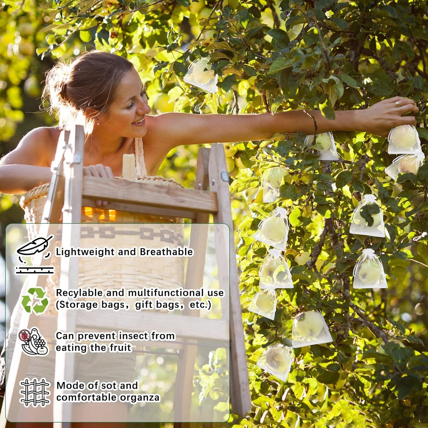 🔥Last Day 49% OFF🔥Fruit Protection Bags