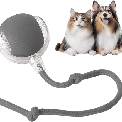 ODALIT™  Self-Moving Cat Toy Ball – 360° Auto-Rolling, Smart Interactive Pet Ball for Indoor Cats & Small Dogs – Fast & Engaging Play