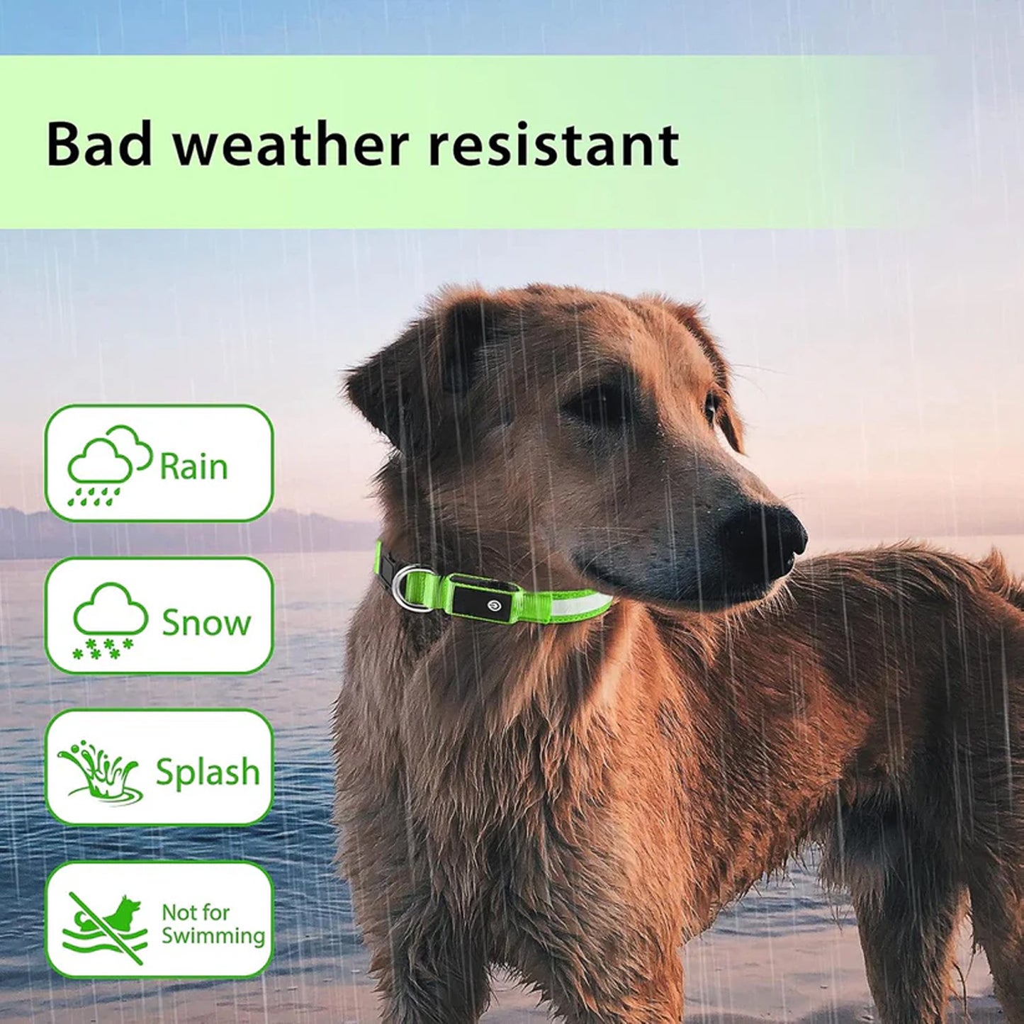 ODALIT™ Light up Dog Collar for Night Walking - LED Dog Collar Light Rechargeable Color Changing, Glow in The Dark Dog Collars Waterproof Glowing Dog Collars for Large Small Medium Dogs