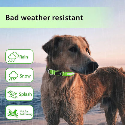 ODALIT™ Light up Dog Collar for Night Walking - LED Dog Collar Light Rechargeable Color Changing, Glow in The Dark Dog Collars Waterproof Glowing Dog Collars for Large Small Medium Dogs
