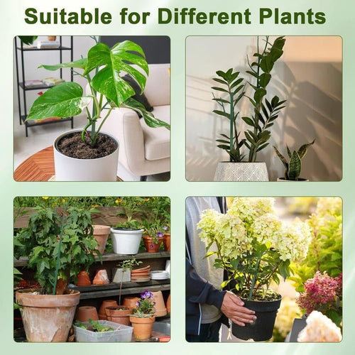 🔥Last Day 49% OFF💖🌿 5 Pack Plant Support Stakes