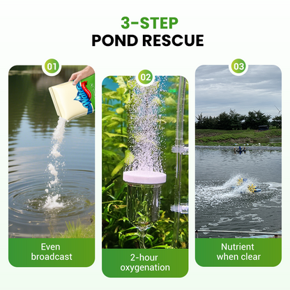 500g Premium Pond Care Powder | Water Clarifier & Algae Control 🐟🌊🔬