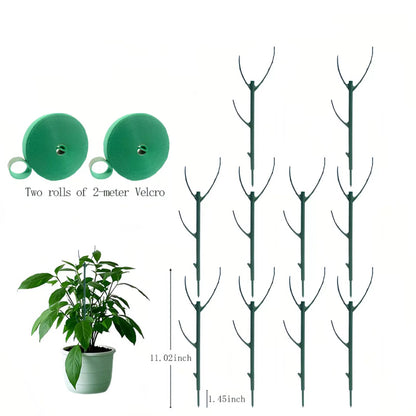 🔥Last Day 49% OFF💖🌿 5 Pack Plant Support Stakes