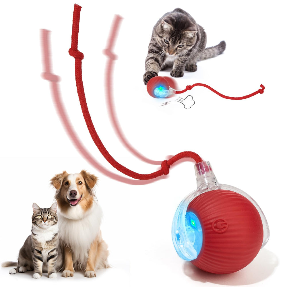 ODALIT™  Self-Moving Cat Toy Ball – 360° Auto-Rolling, Smart Interactive Pet Ball for Indoor Cats & Small Dogs – Fast & Engaging Play