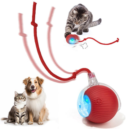 ODALIT™  Self-Moving Cat Toy Ball – 360° Auto-Rolling, Smart Interactive Pet Ball for Indoor Cats & Small Dogs – Fast & Engaging Play