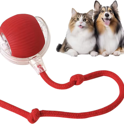 ODALIT™  Self-Moving Cat Toy Ball – 360° Auto-Rolling, Smart Interactive Pet Ball for Indoor Cats & Small Dogs – Fast & Engaging Play