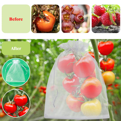🔥Last Day 49% OFF🔥Fruit Protection Bags